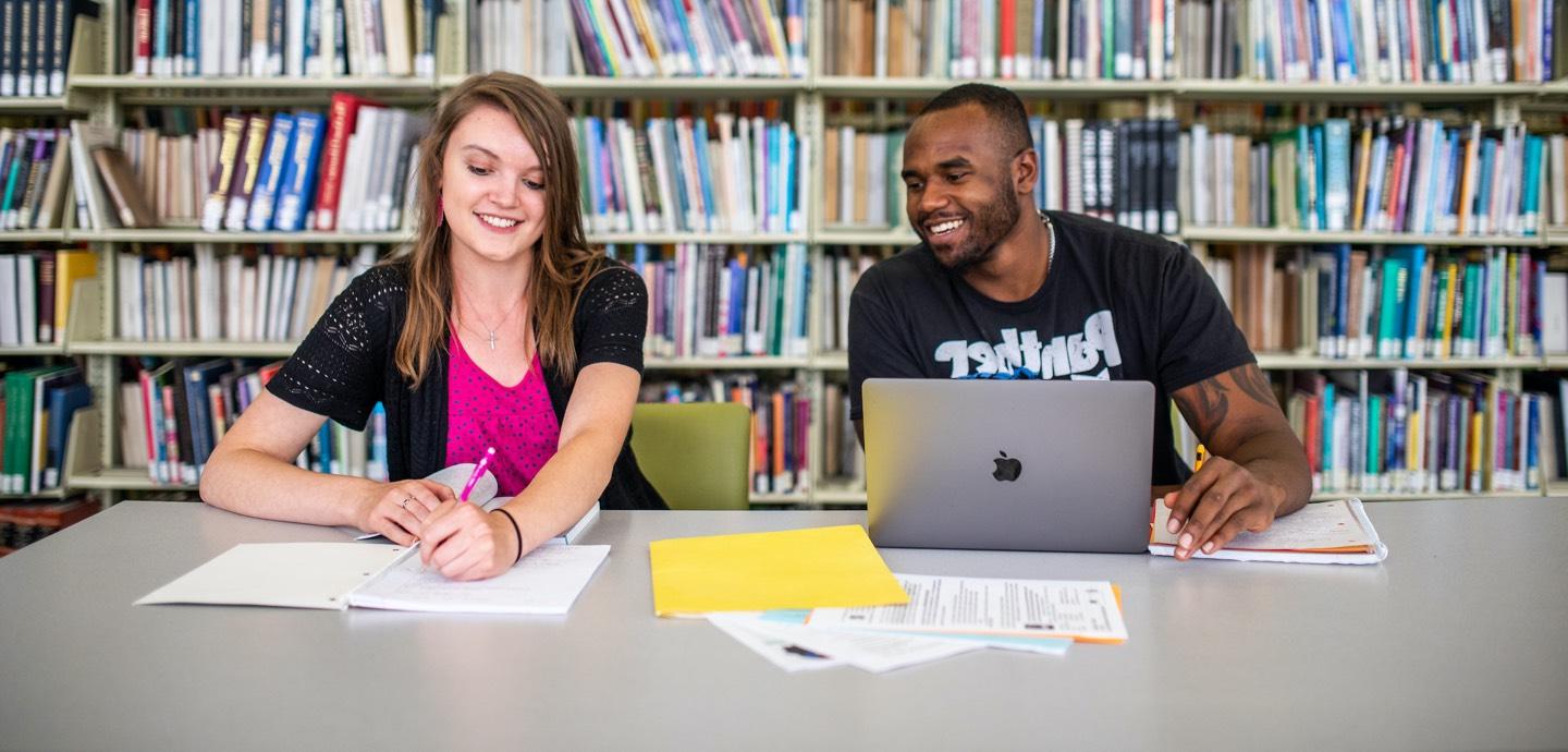 Two students studying in the library